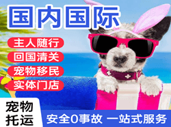 临沂启阳空运公司国际宠物托运 【国